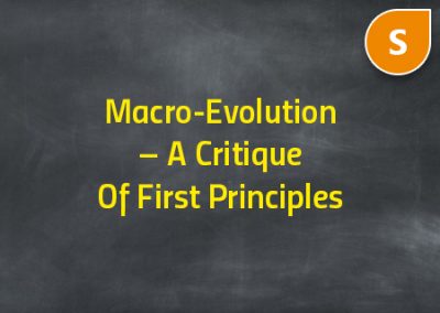 Macro-Evolution – A Critique Of First Principles